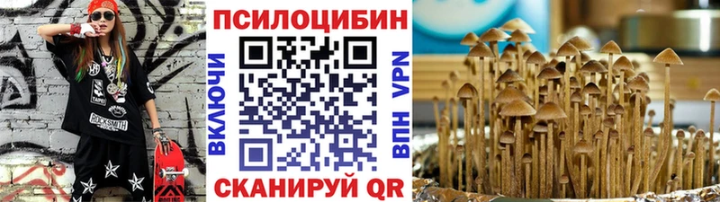 Псилоцибиновые грибы мицелий  наркошоп  Рыльск 